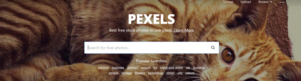 pexels free stock photography